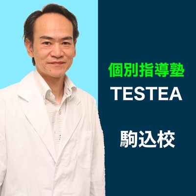 個別指導塾テスティー駒込校 中村充光教室長